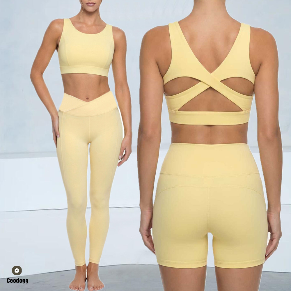 패드 푸시 업 요가 피트니스 브라 충격 흡수 스포츠 브 - Push Up Bra Padded 리뷰 및 가격